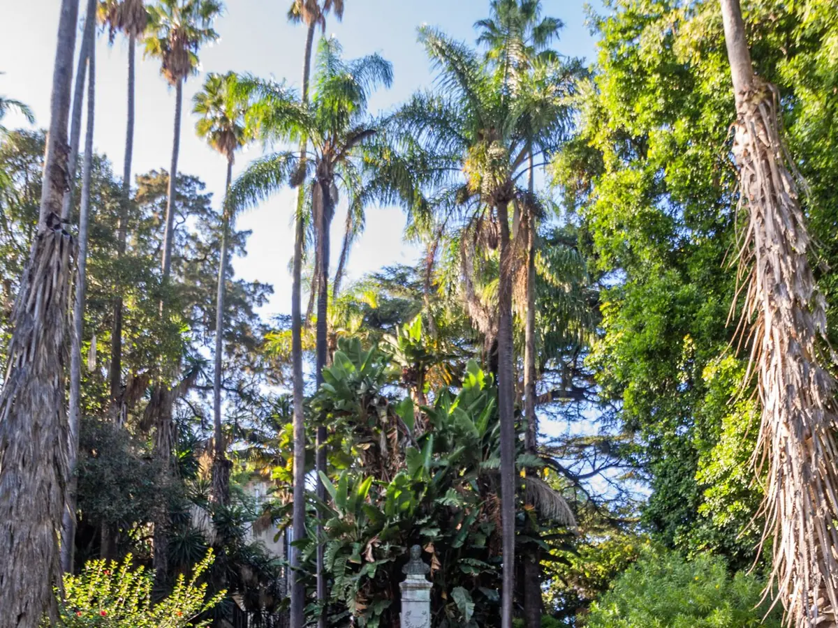 Jardim Botânico de Lisboa