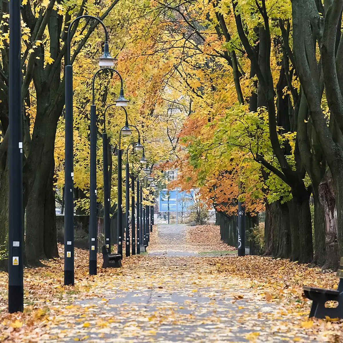 Park Praski