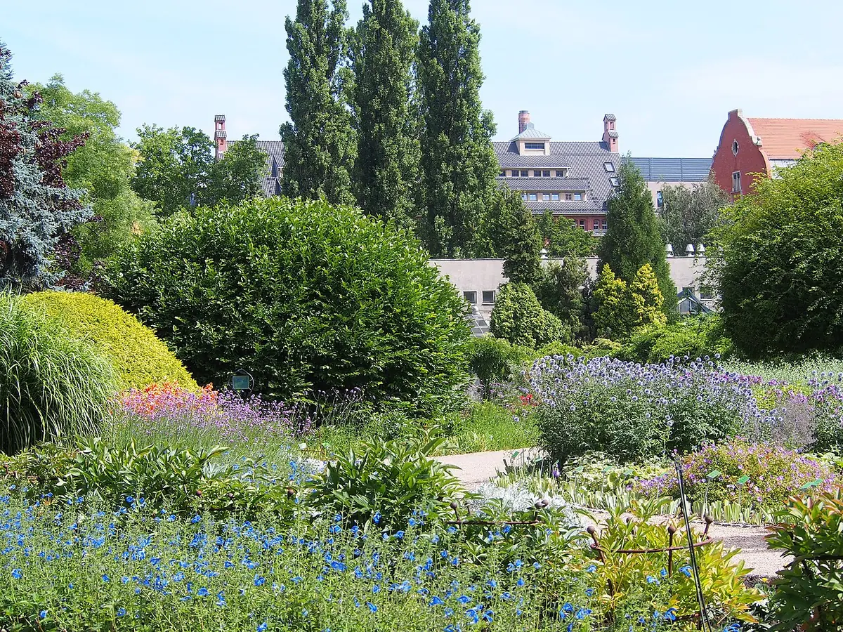 Ogród Botaniczny