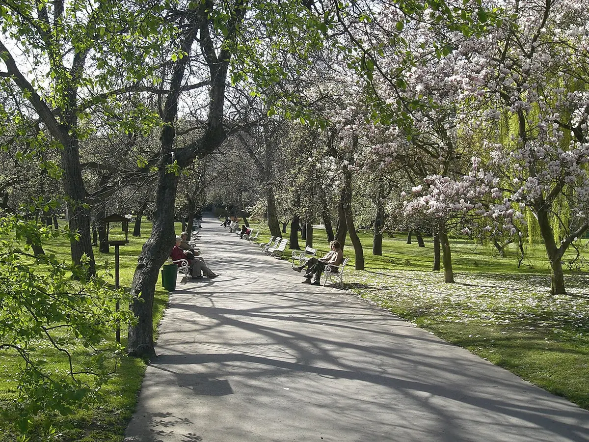 Vojanovy sady
