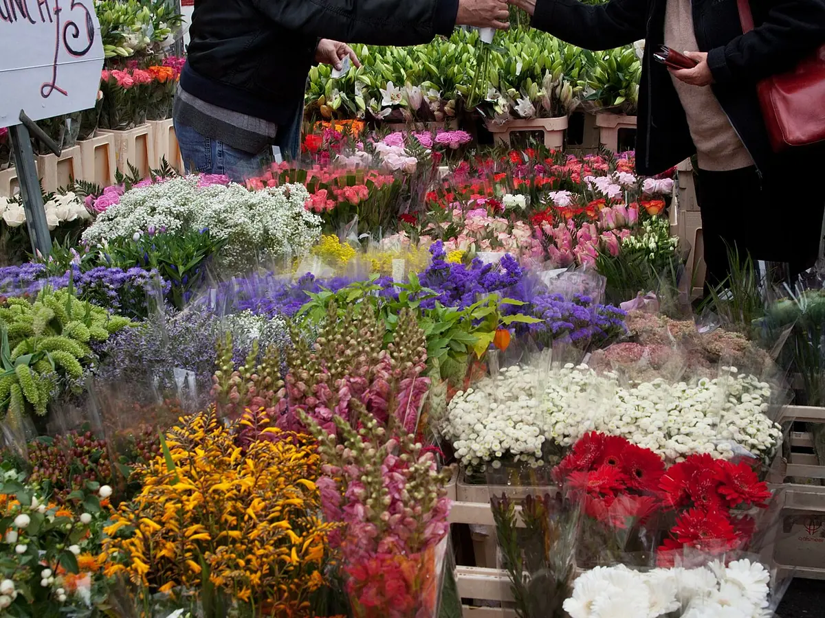 Columbia Road Flower Market