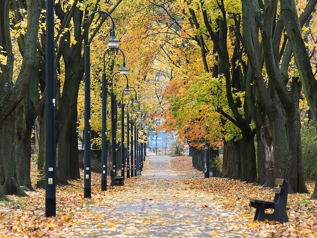 Park Praski