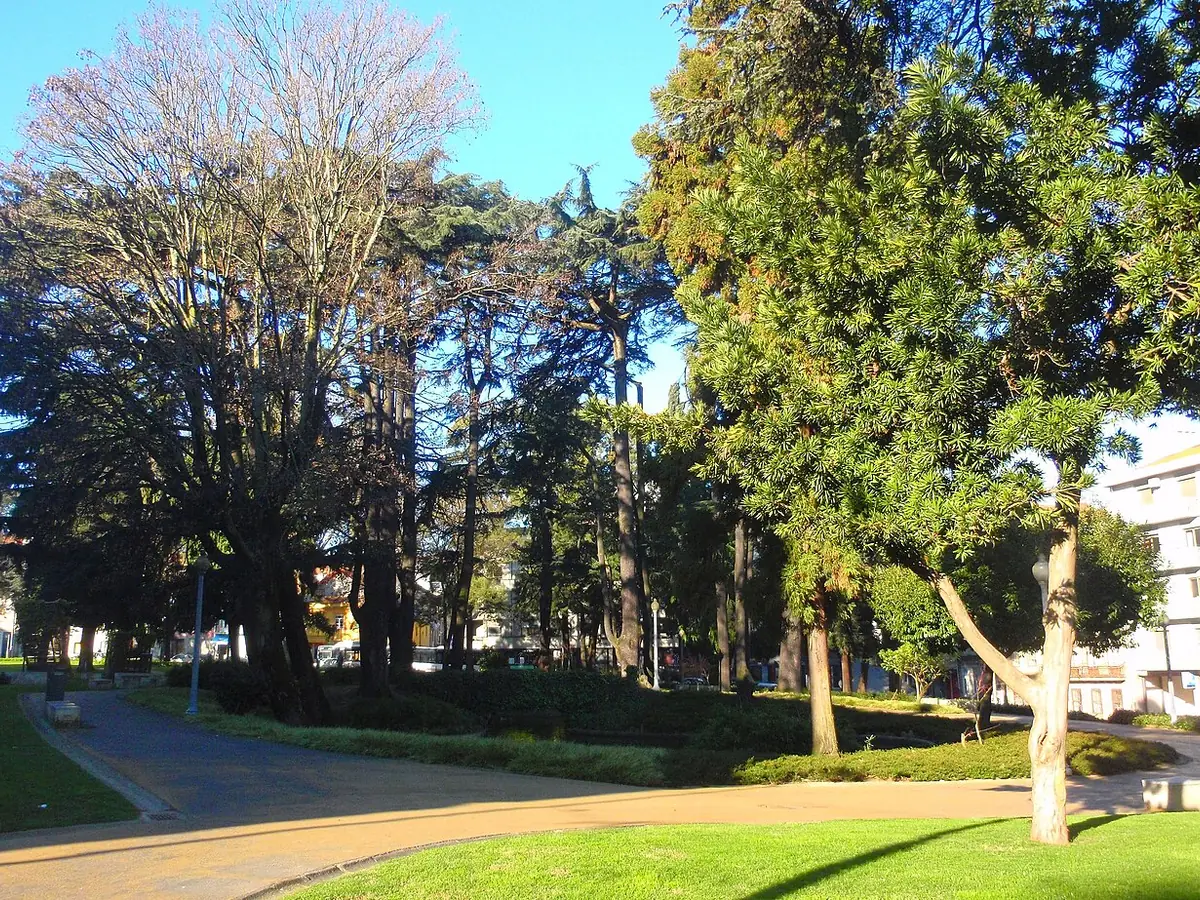 Jardim de Carrilho Videira
