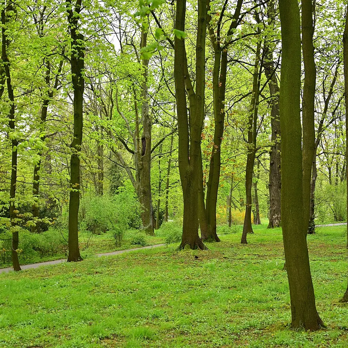 Park Wilanowski
