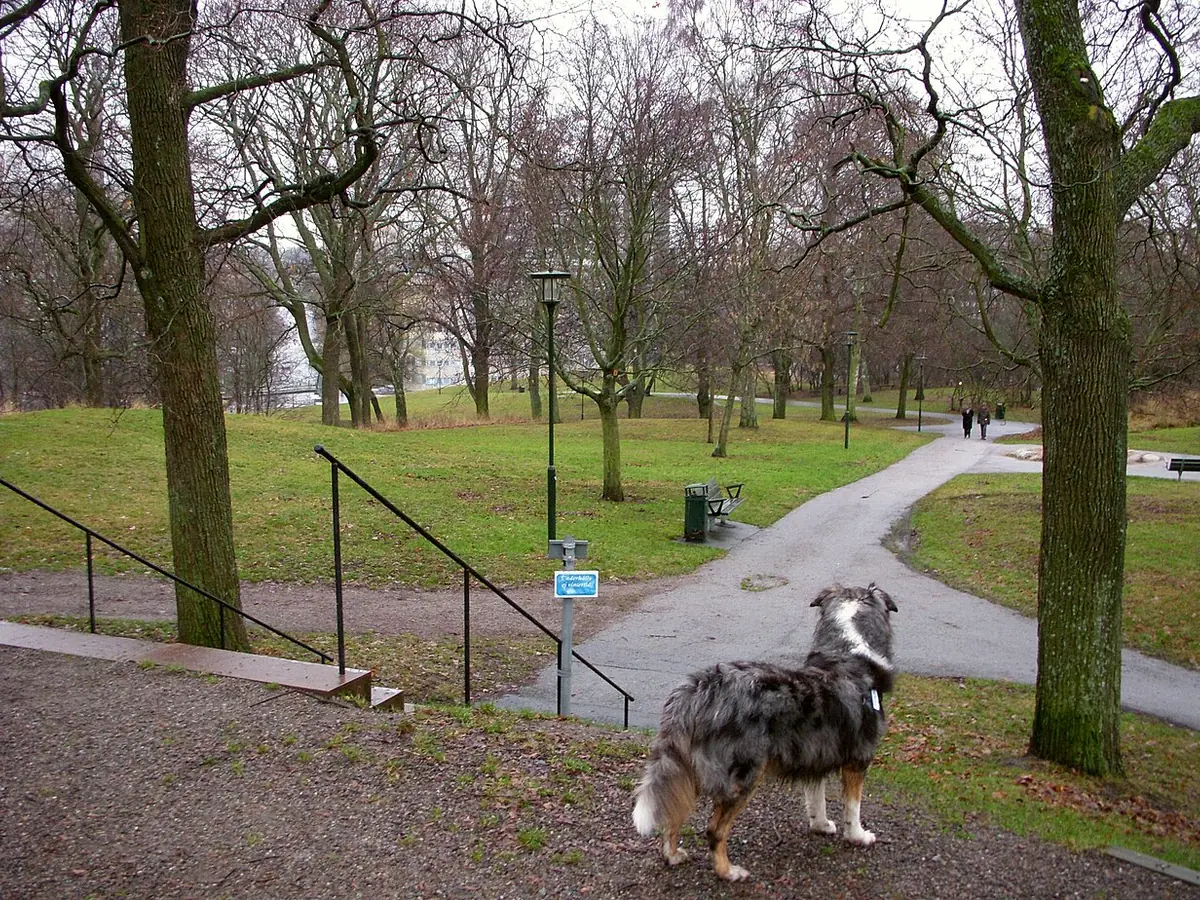 Tantolunden
