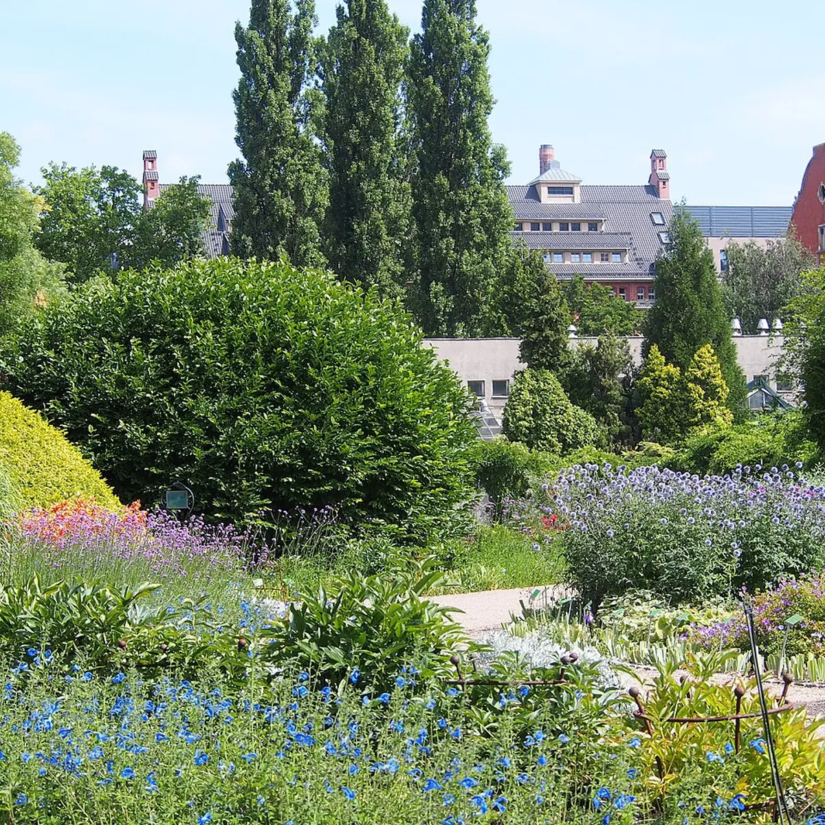 Ogród Botaniczny