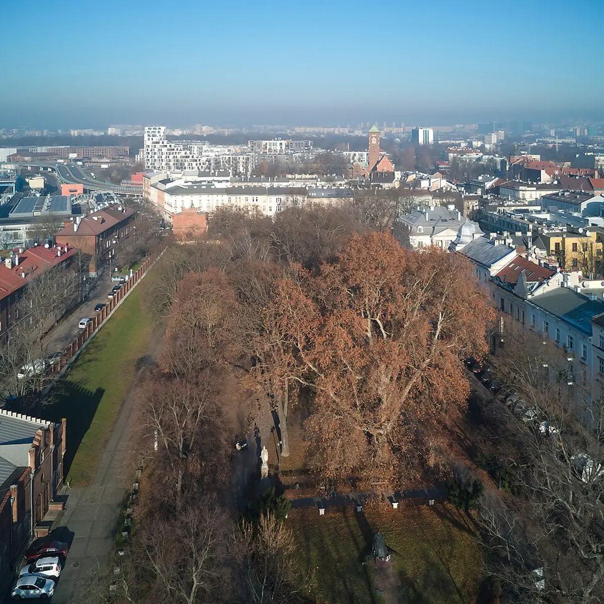 Park Strzelecki