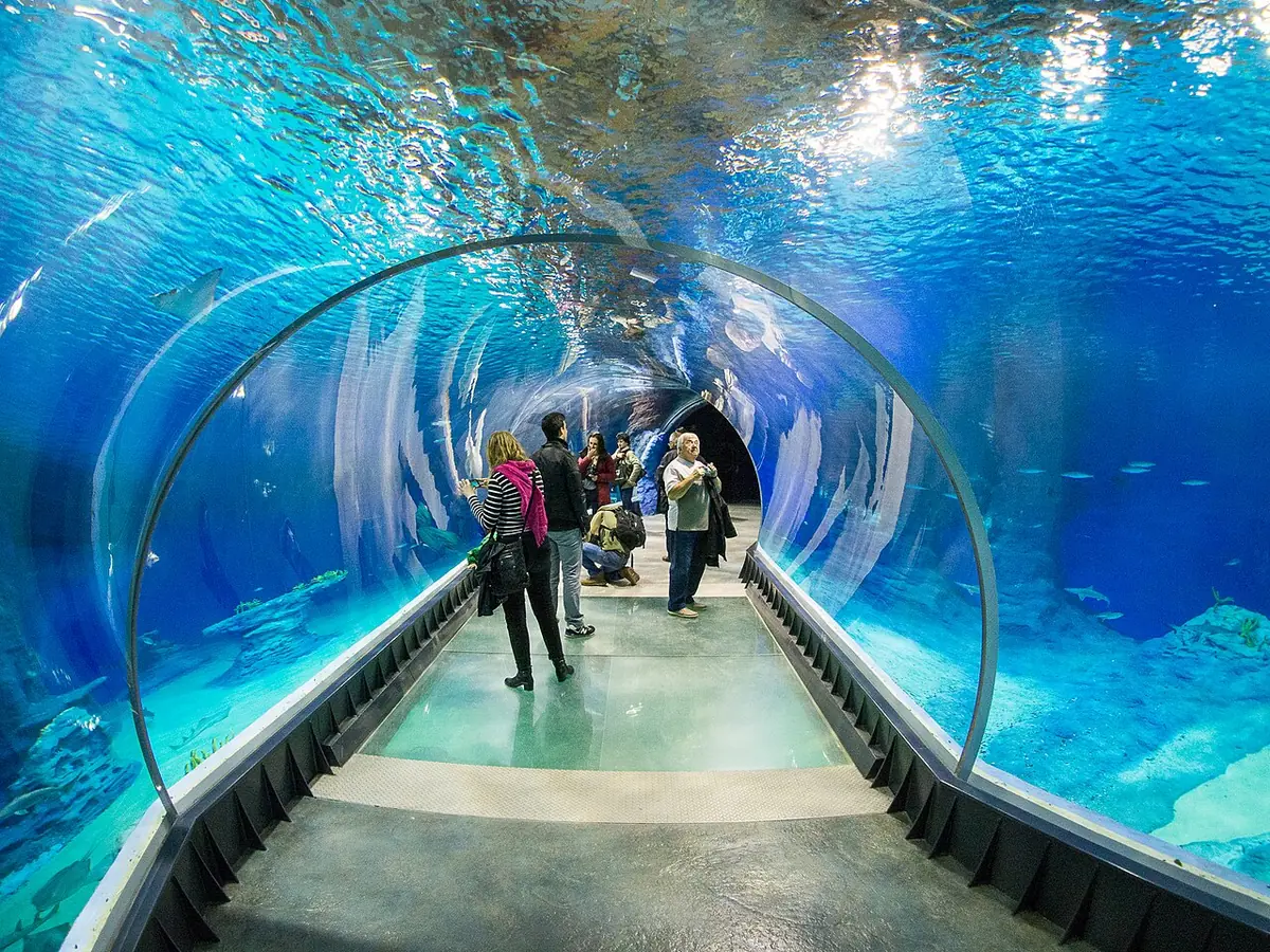 Afrykarium, Wrocław