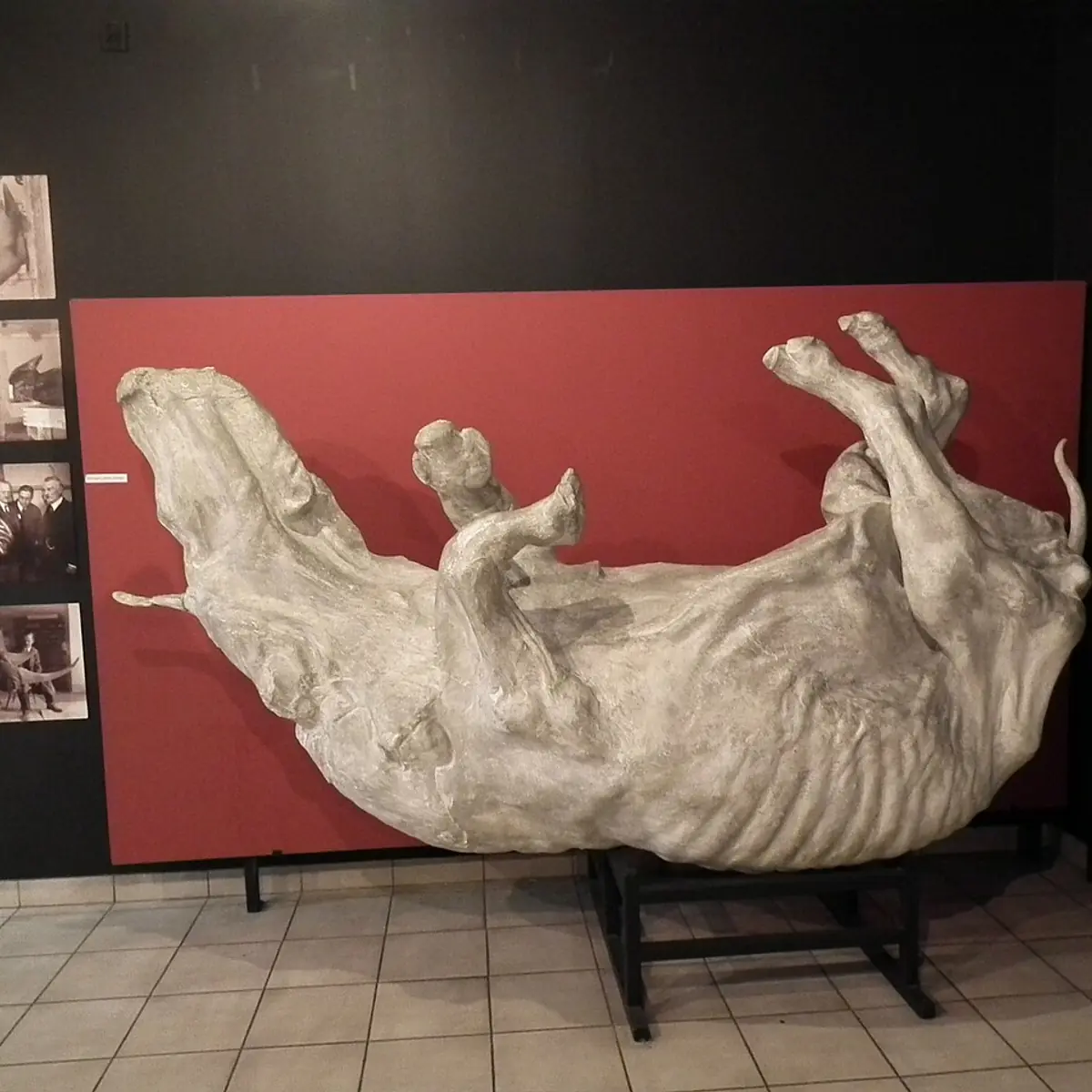 Muzeum Przyrodnicze PAN