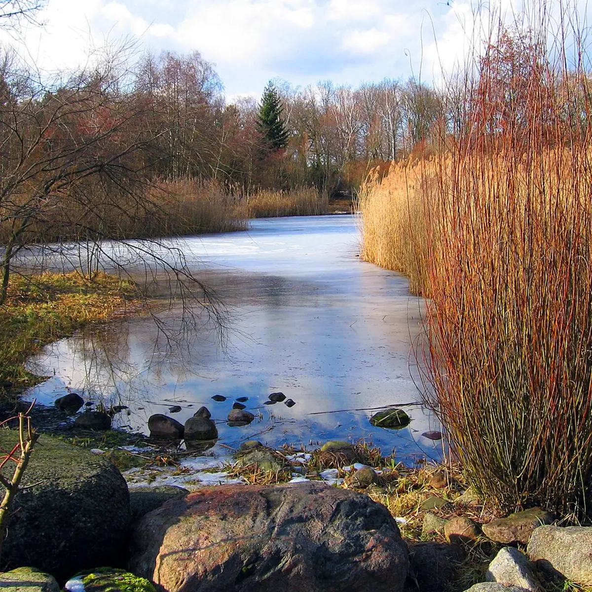 Volkspark Hasenheide