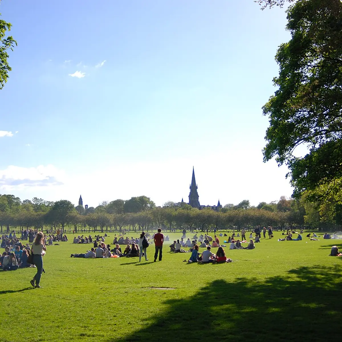 The Meadows