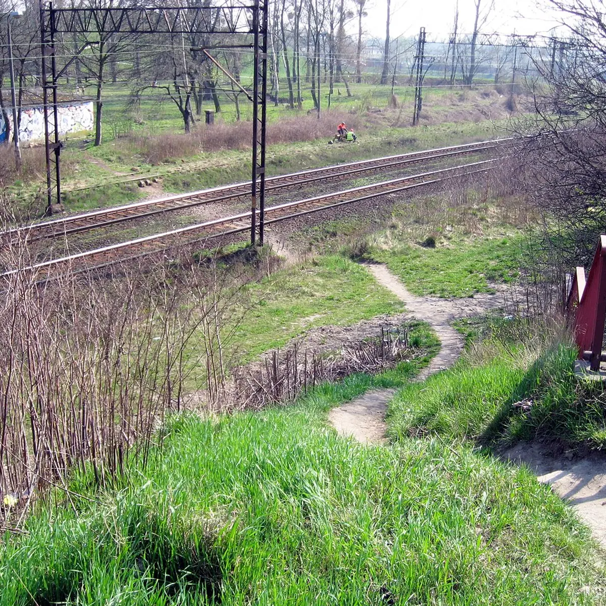 Biskupia Górka