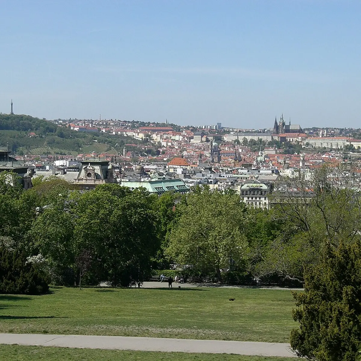 Vinohrady