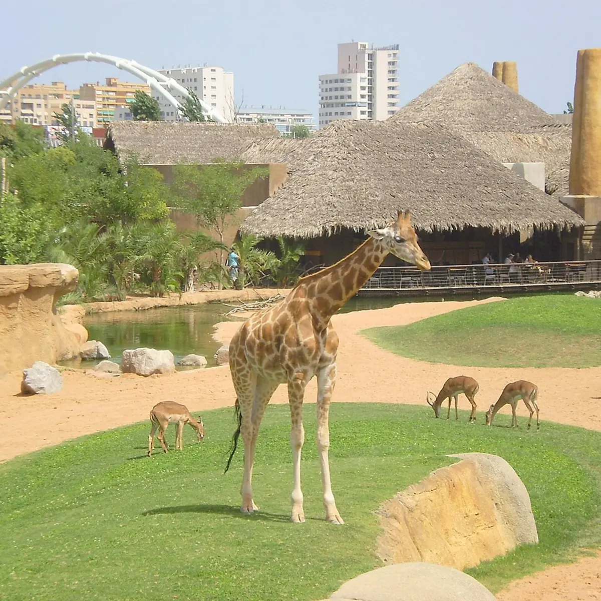 Bioparc València