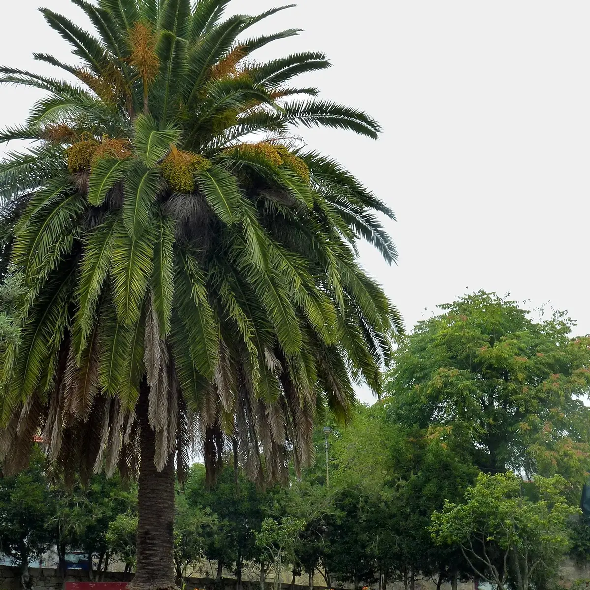 Jardim da Pena