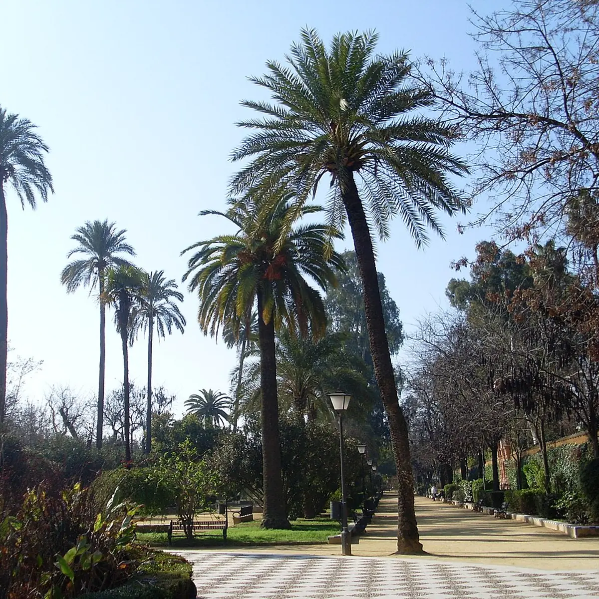 Jardines de Murillo