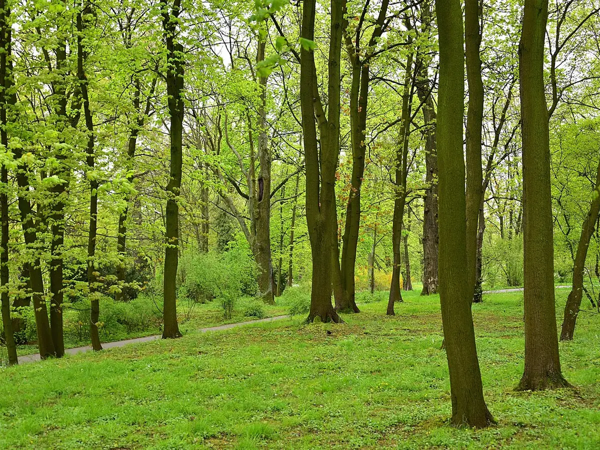 Park Wilanowski