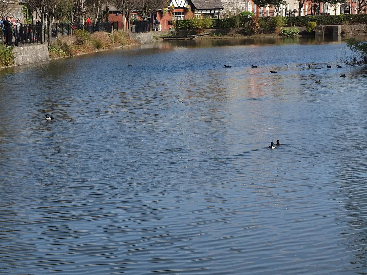 Blessington Street Basin
