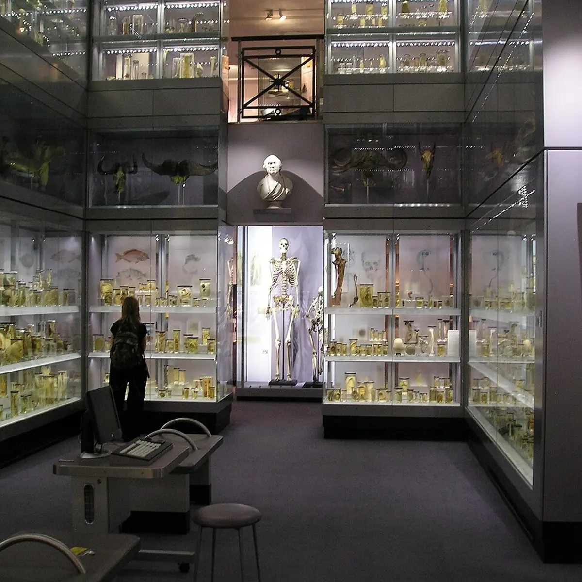 Hunterian Museum