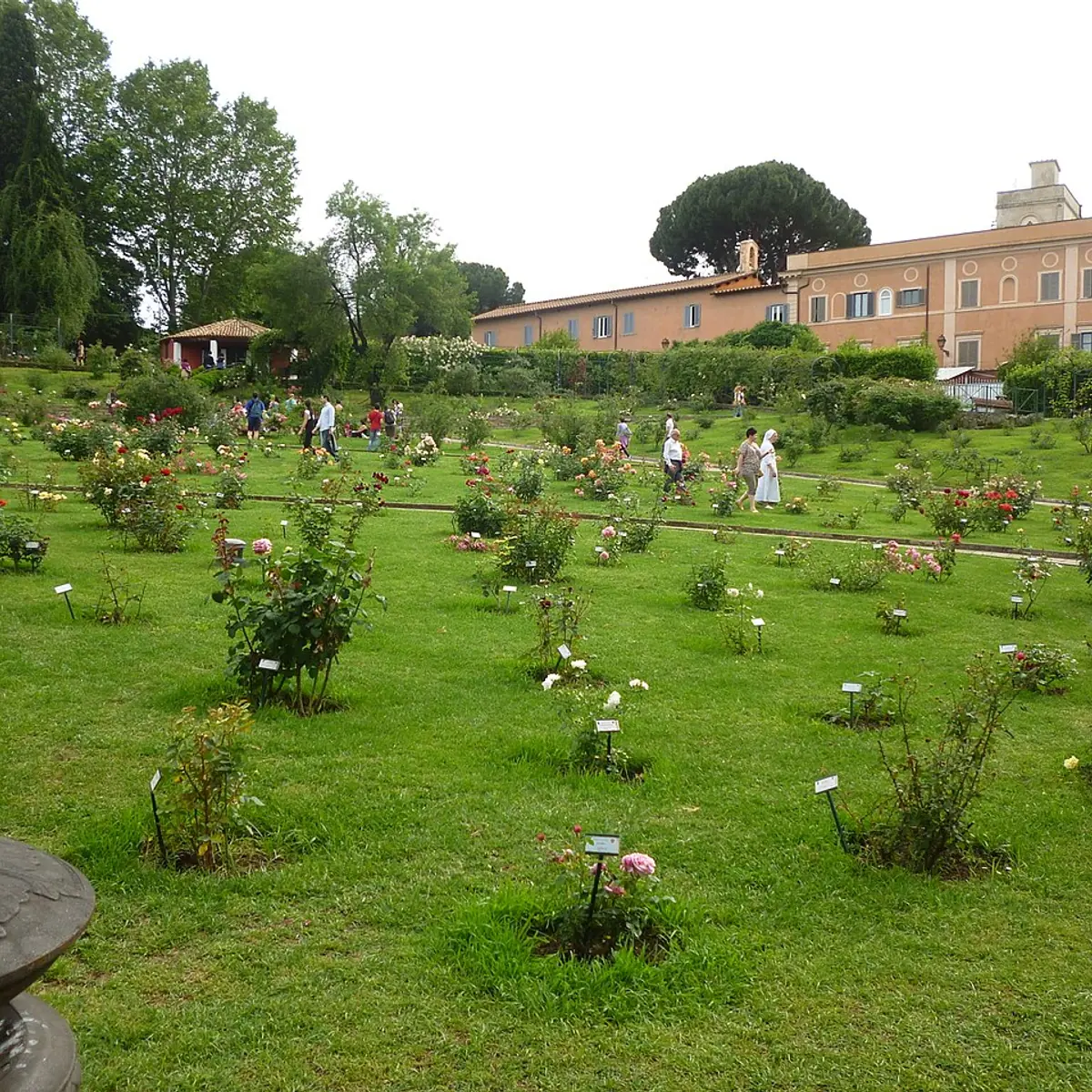 Roseto di Roma Capitale