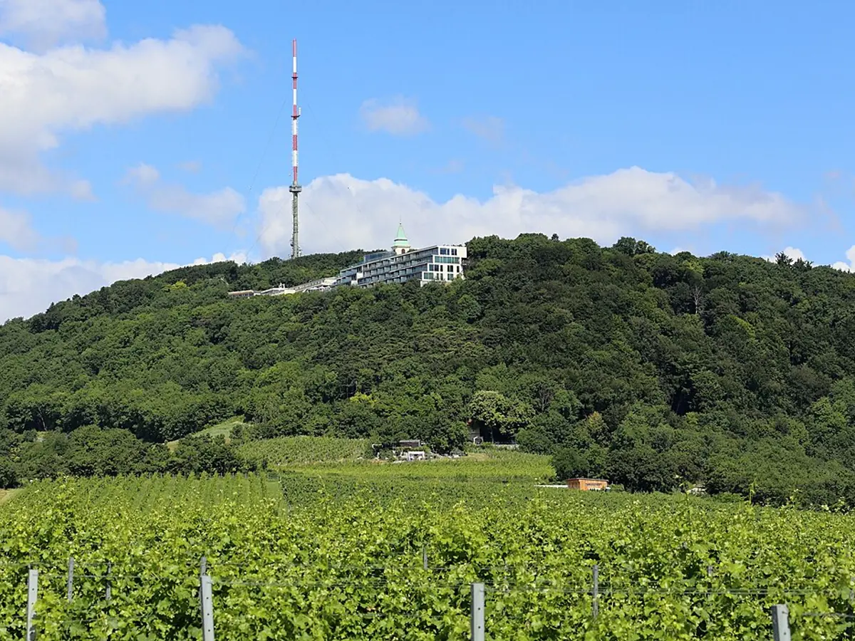 Kahlenberg