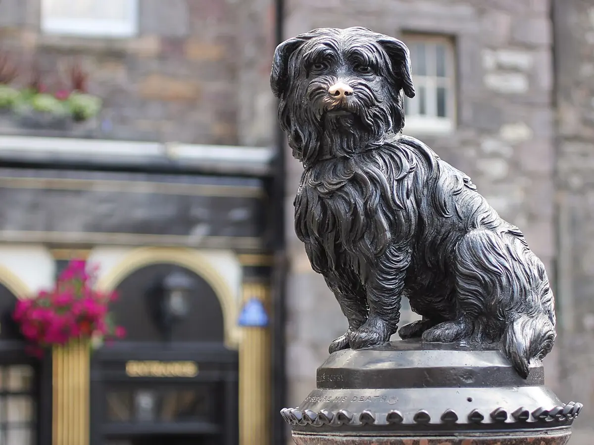 Greyfriars Bobby