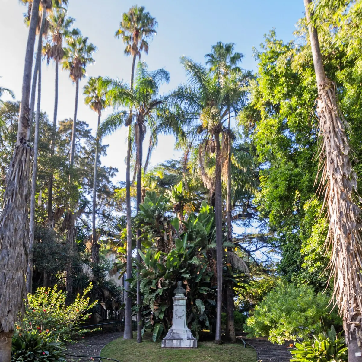 Jardim Botânico de Lisboa