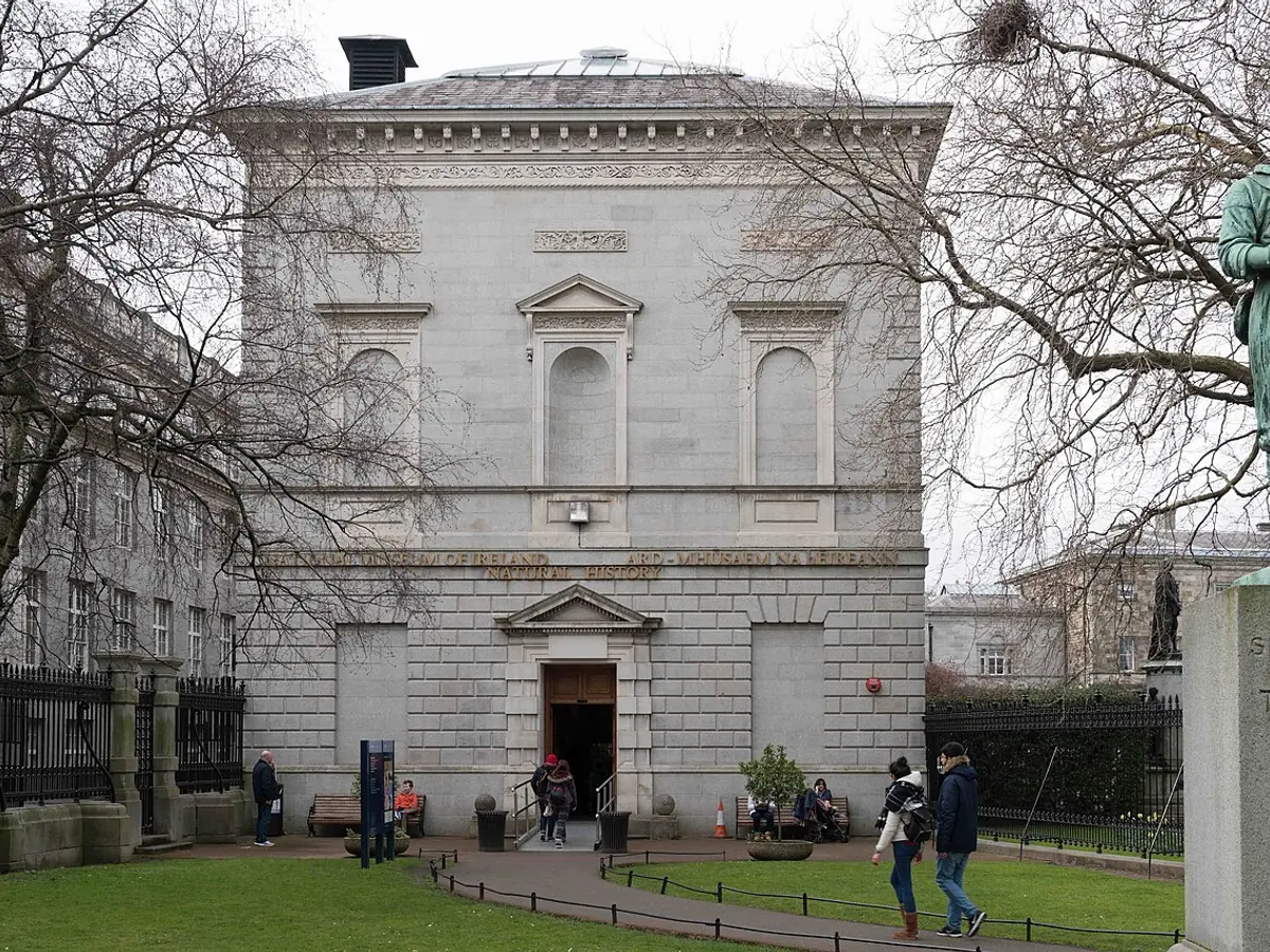 National Museum of Ireland, Natural History