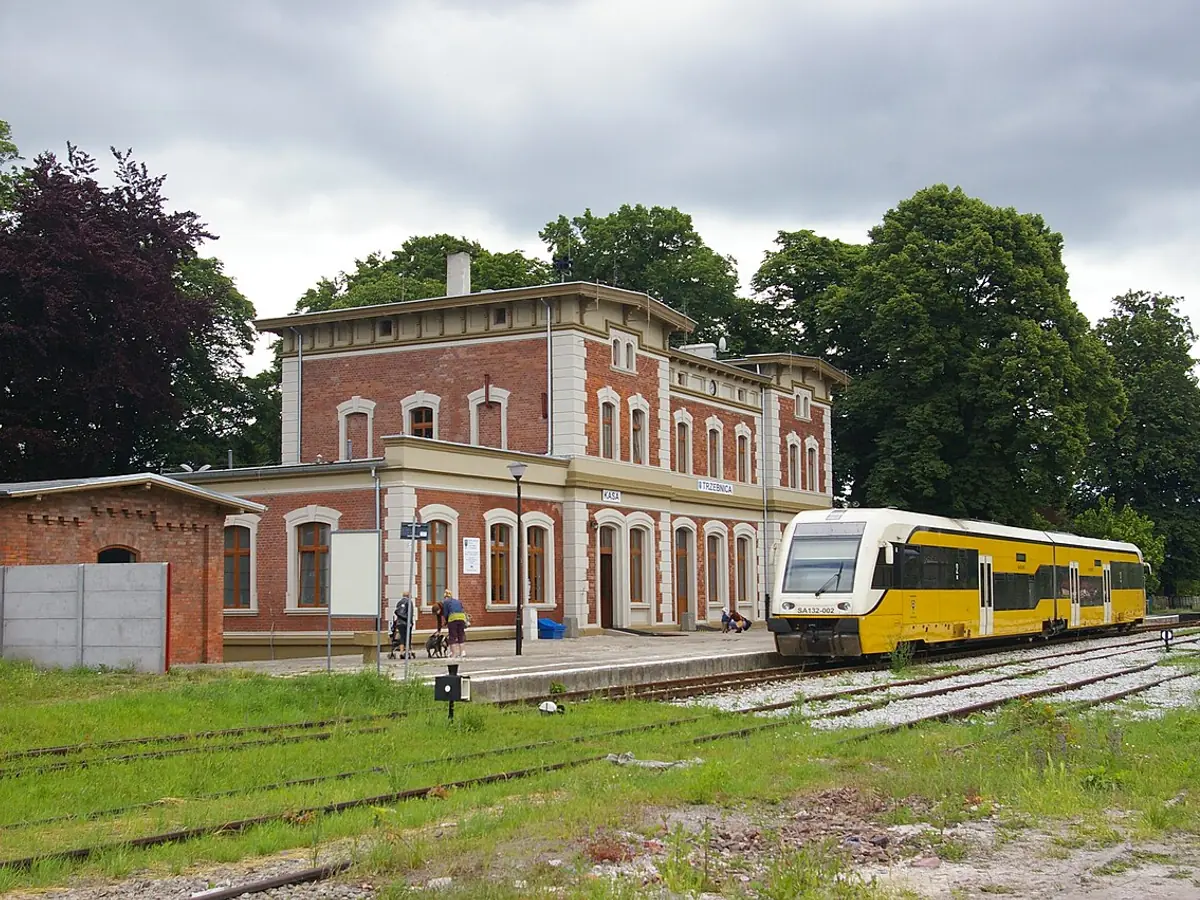 Trzebnica, Trzebnica