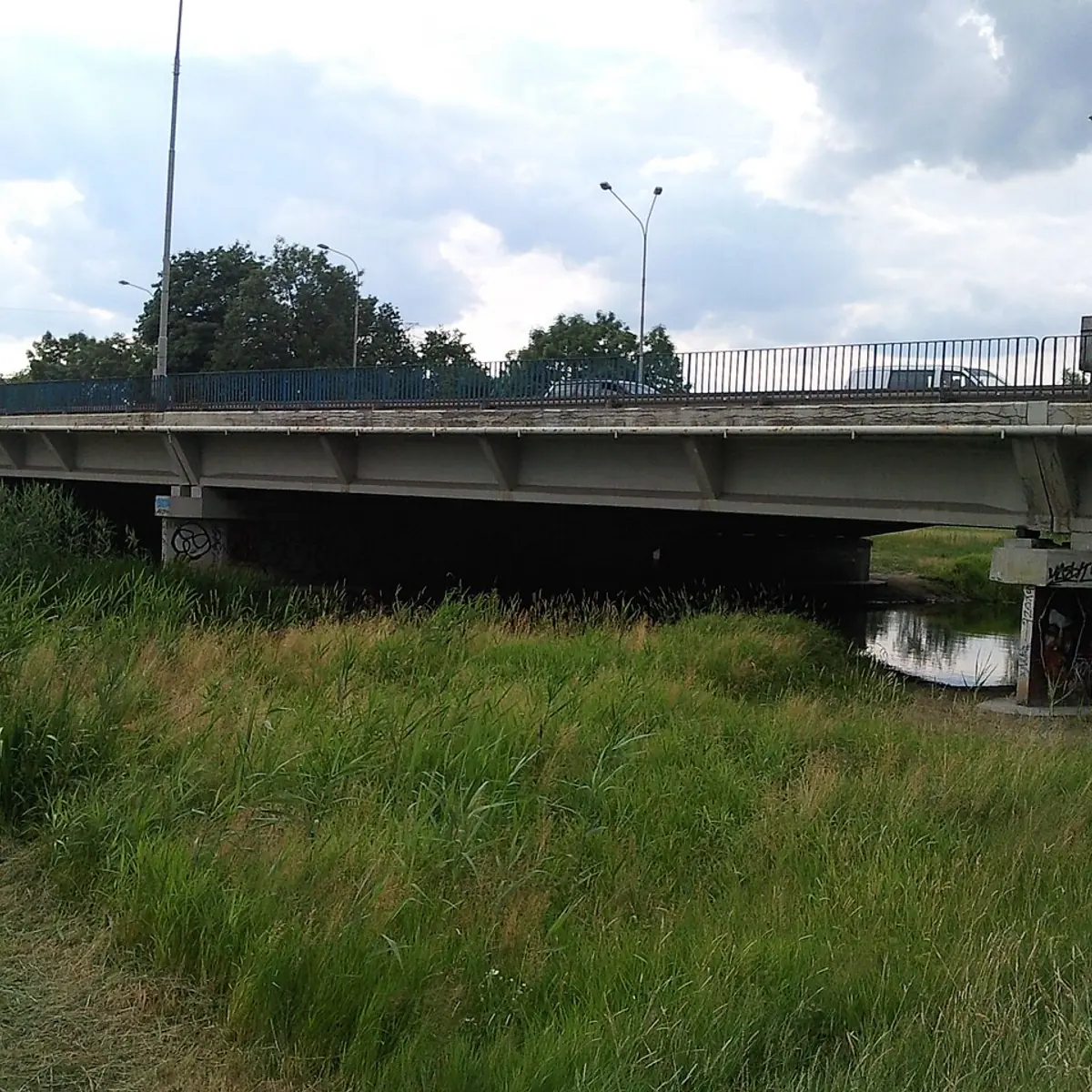 most Bolesława Krzywoustego
