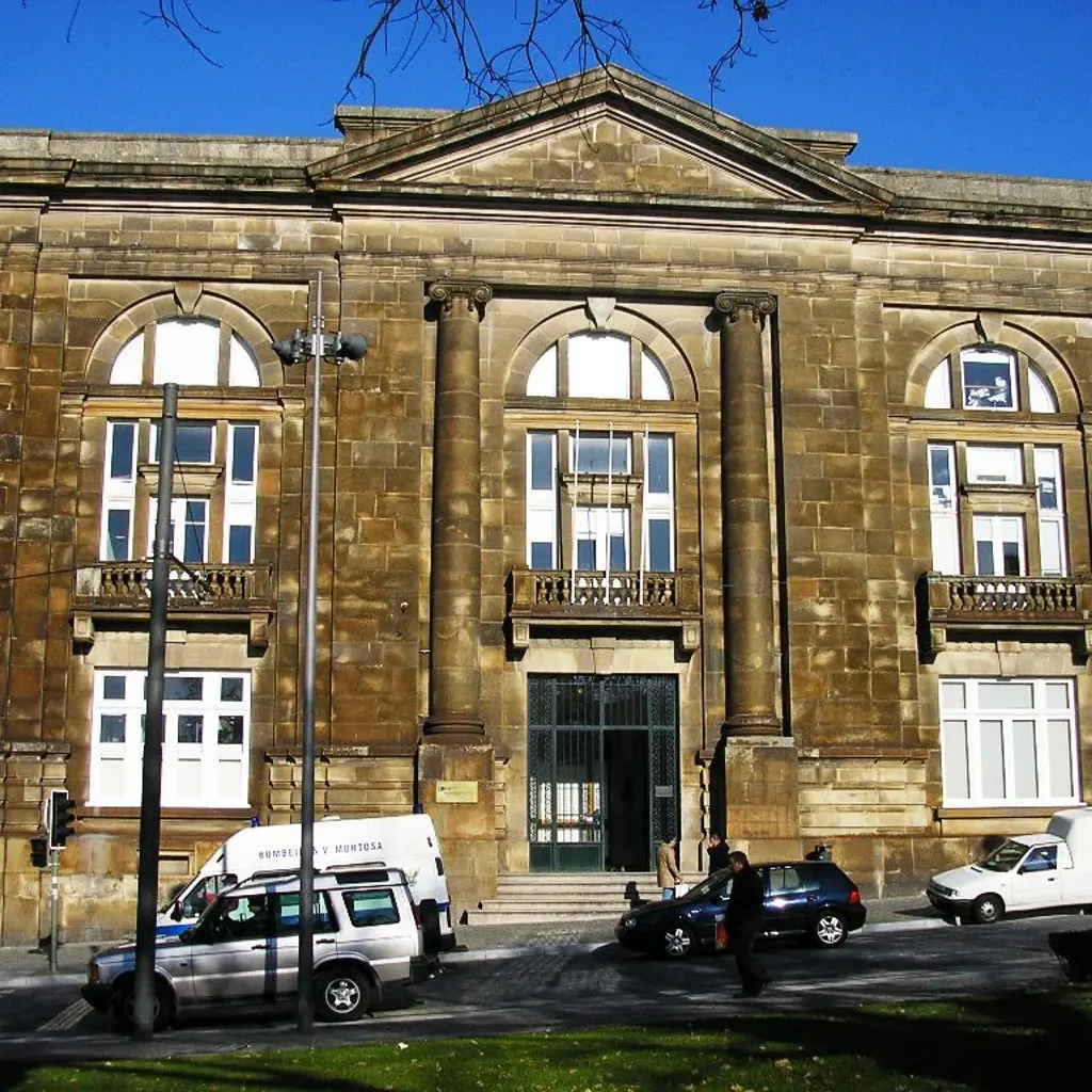 Instituto de Ciências Biomédicas Abel Salazar