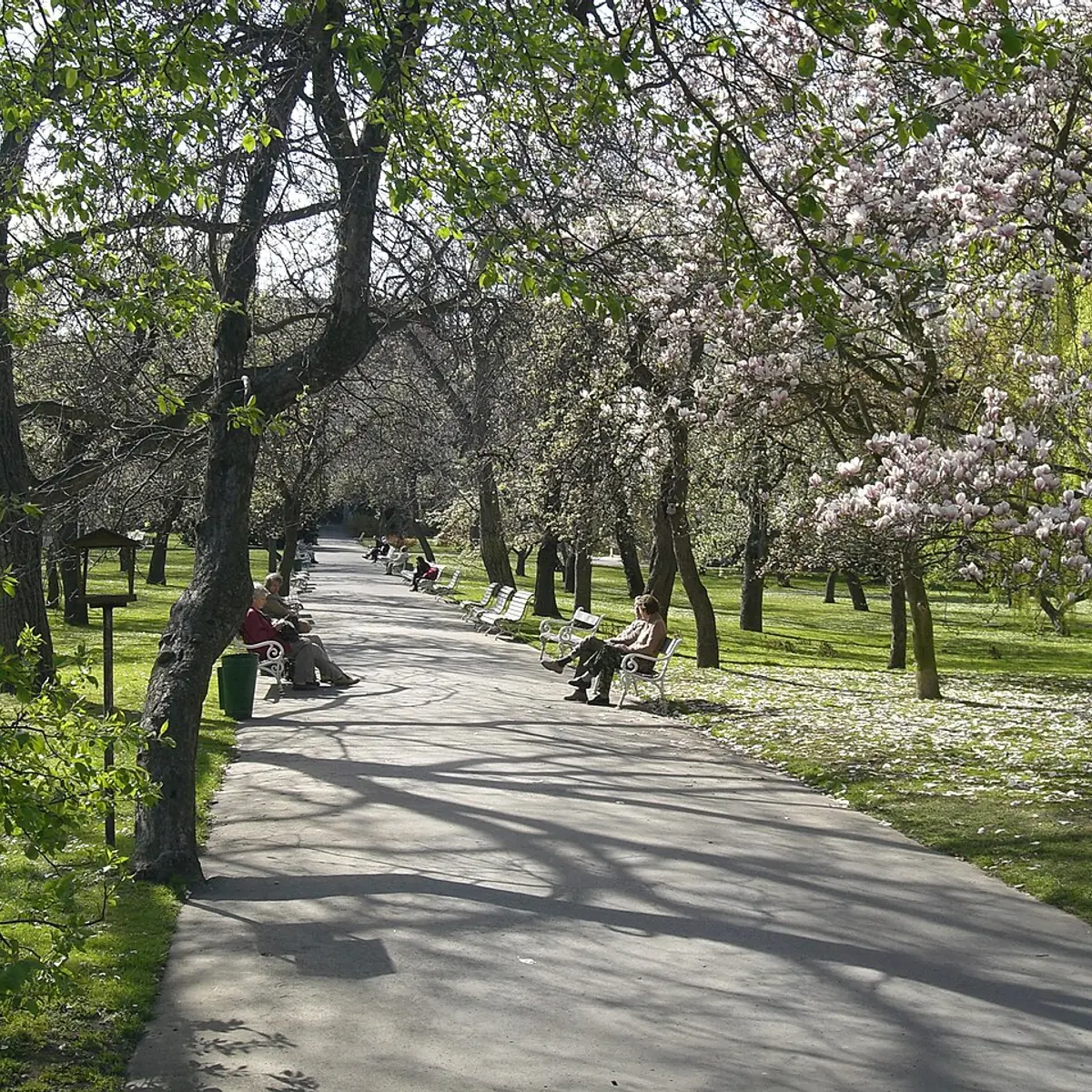 Vojanovy sady