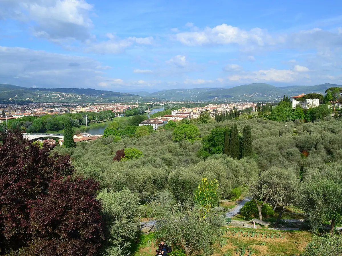 Il Giardino Dell'Iris