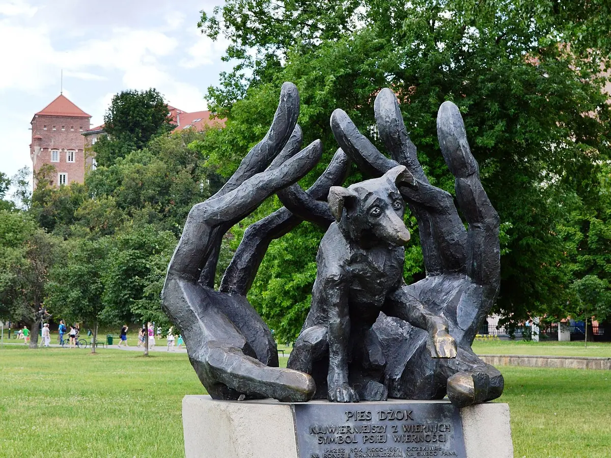 Pies Dżok