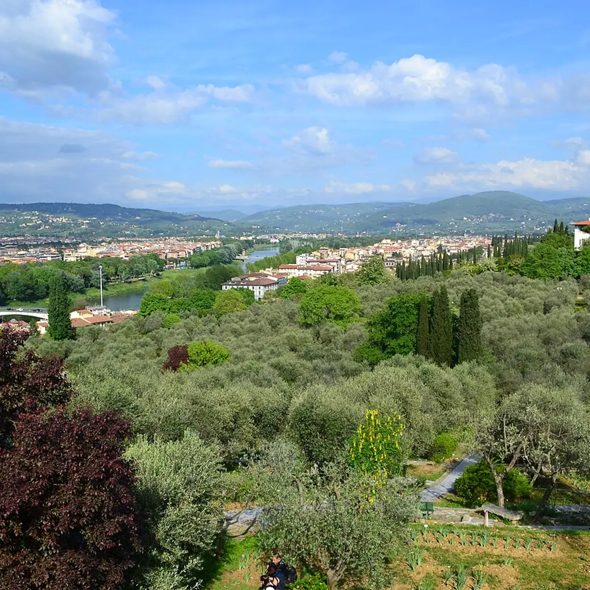 Il Giardino Dell'Iris