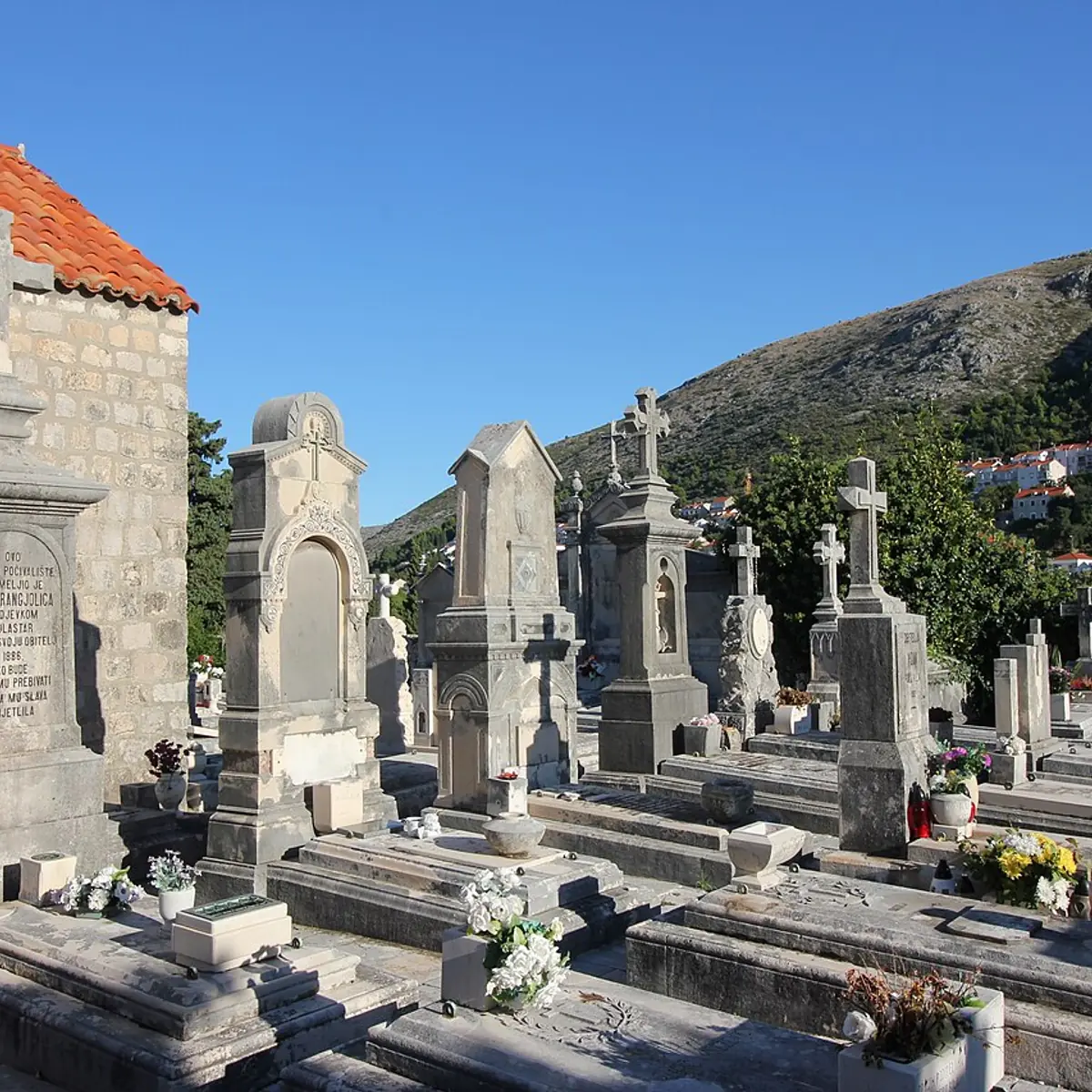 Boninovo