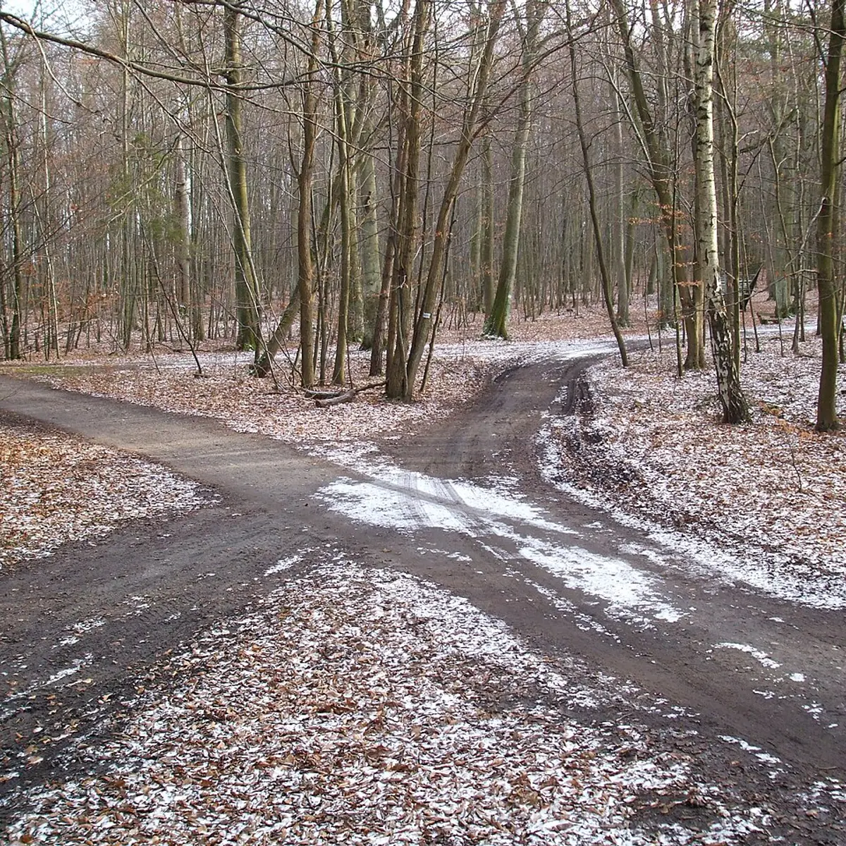Wielka Gwiazda
