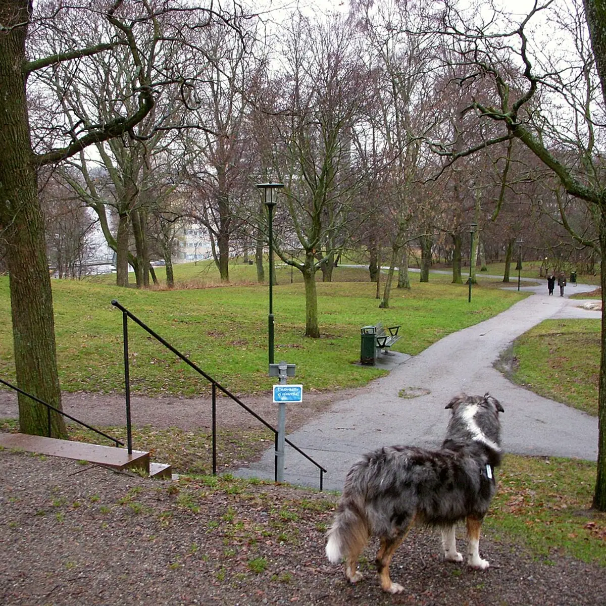 Tantolunden