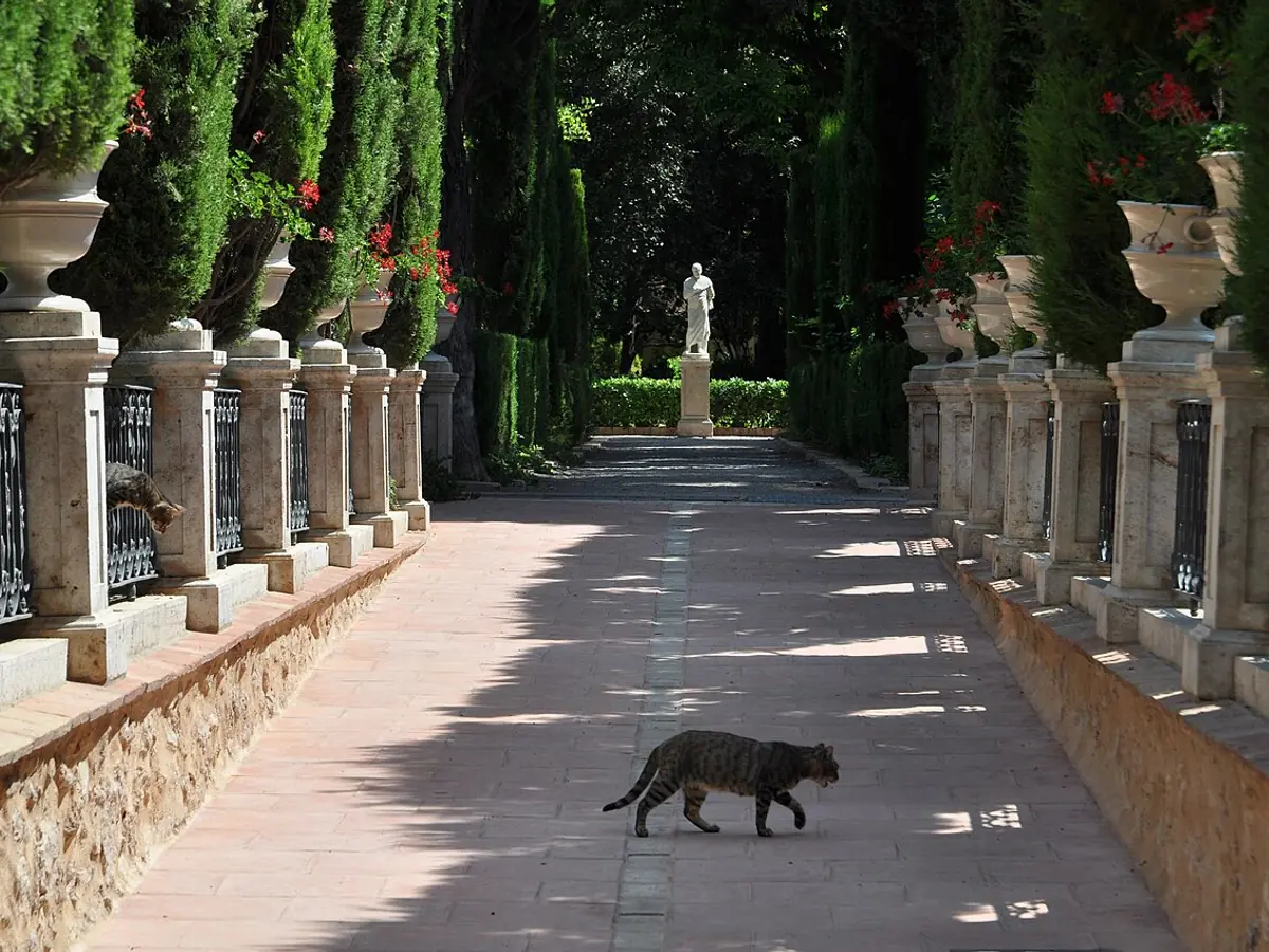Jardí de Monforte