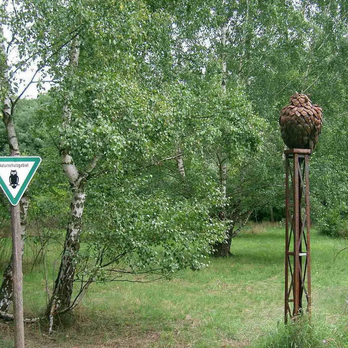 Naturpark Schöneberger Südgelände