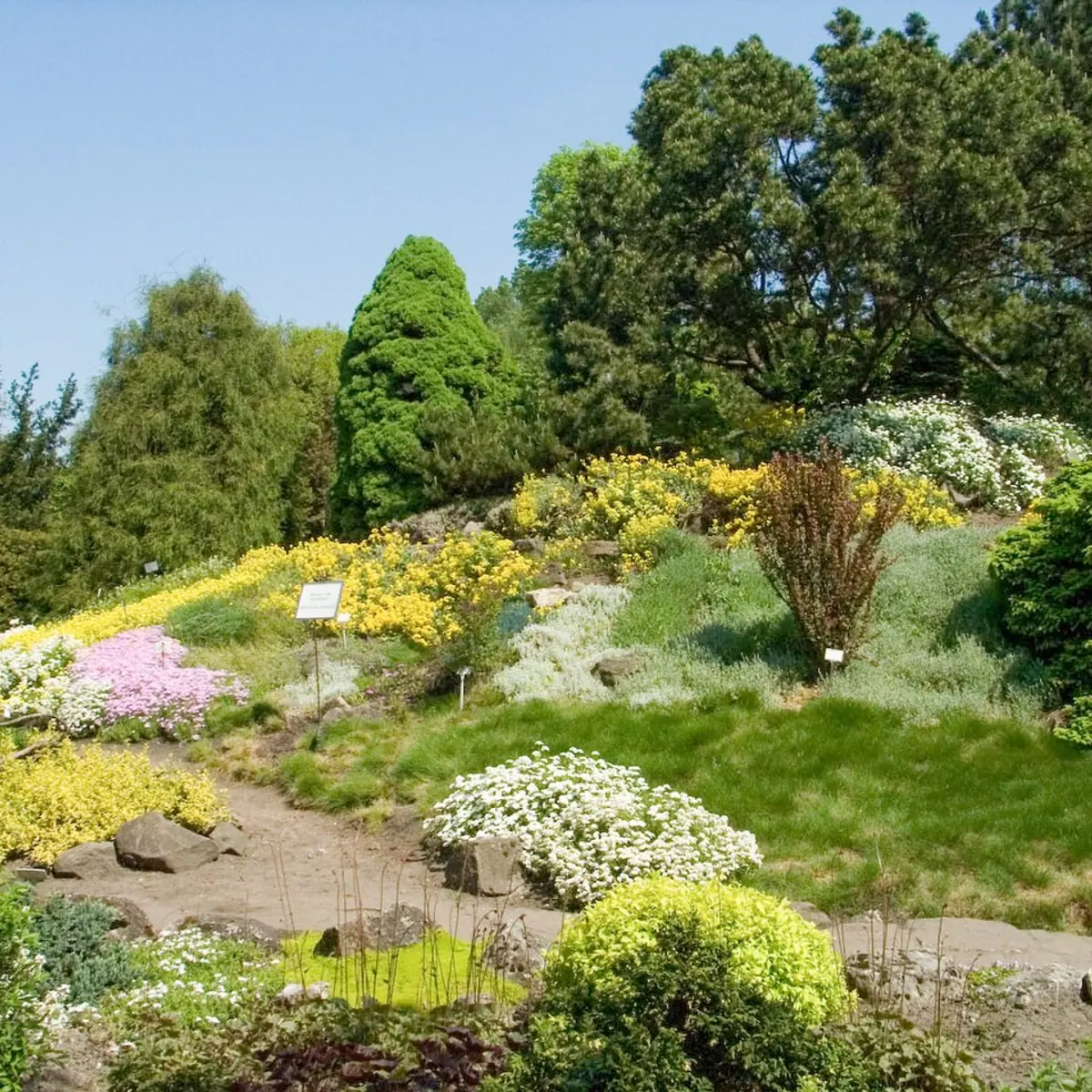 Ogród Botaniczny Uniwersytetu Jagiellońskiego