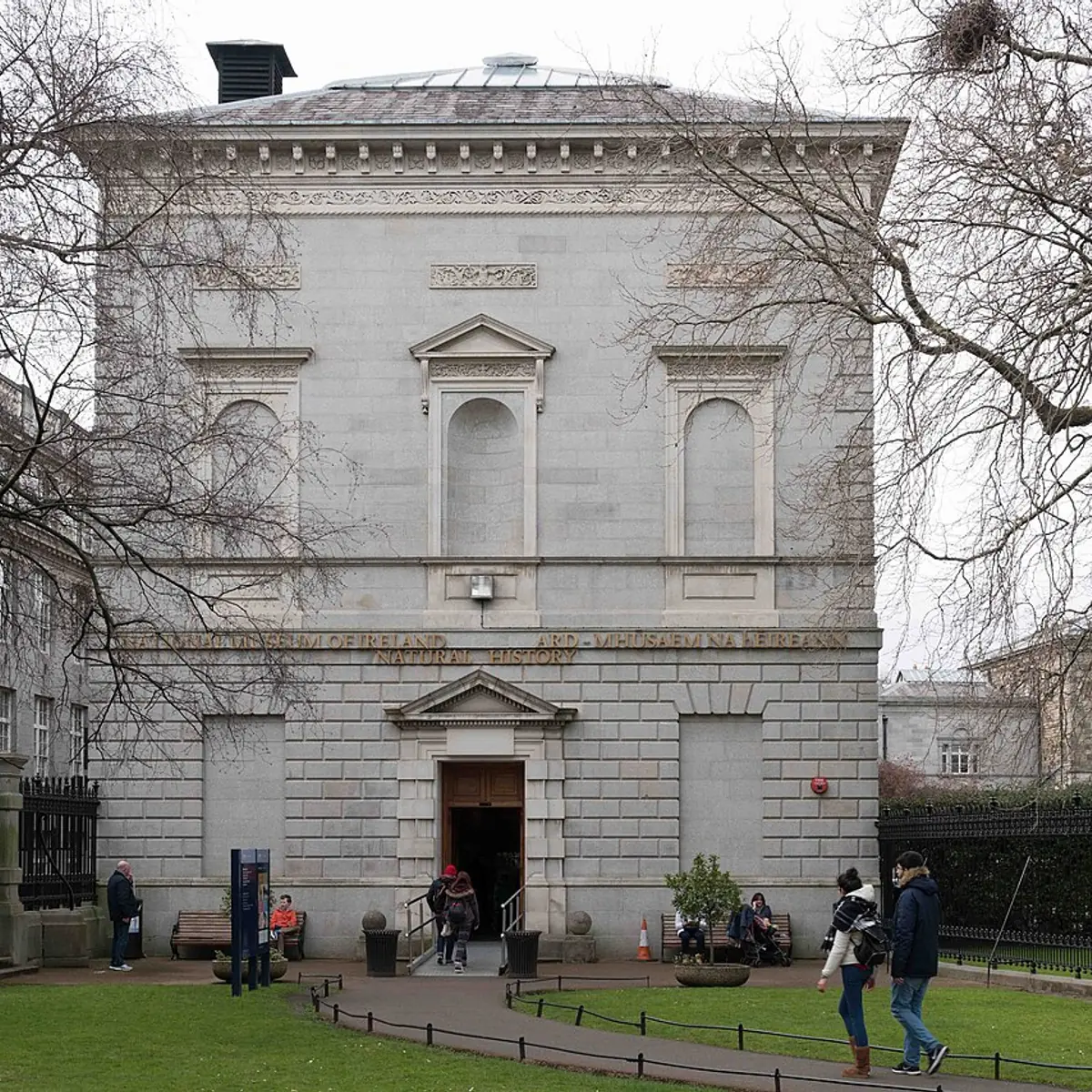 National Museum of Ireland, Natural History