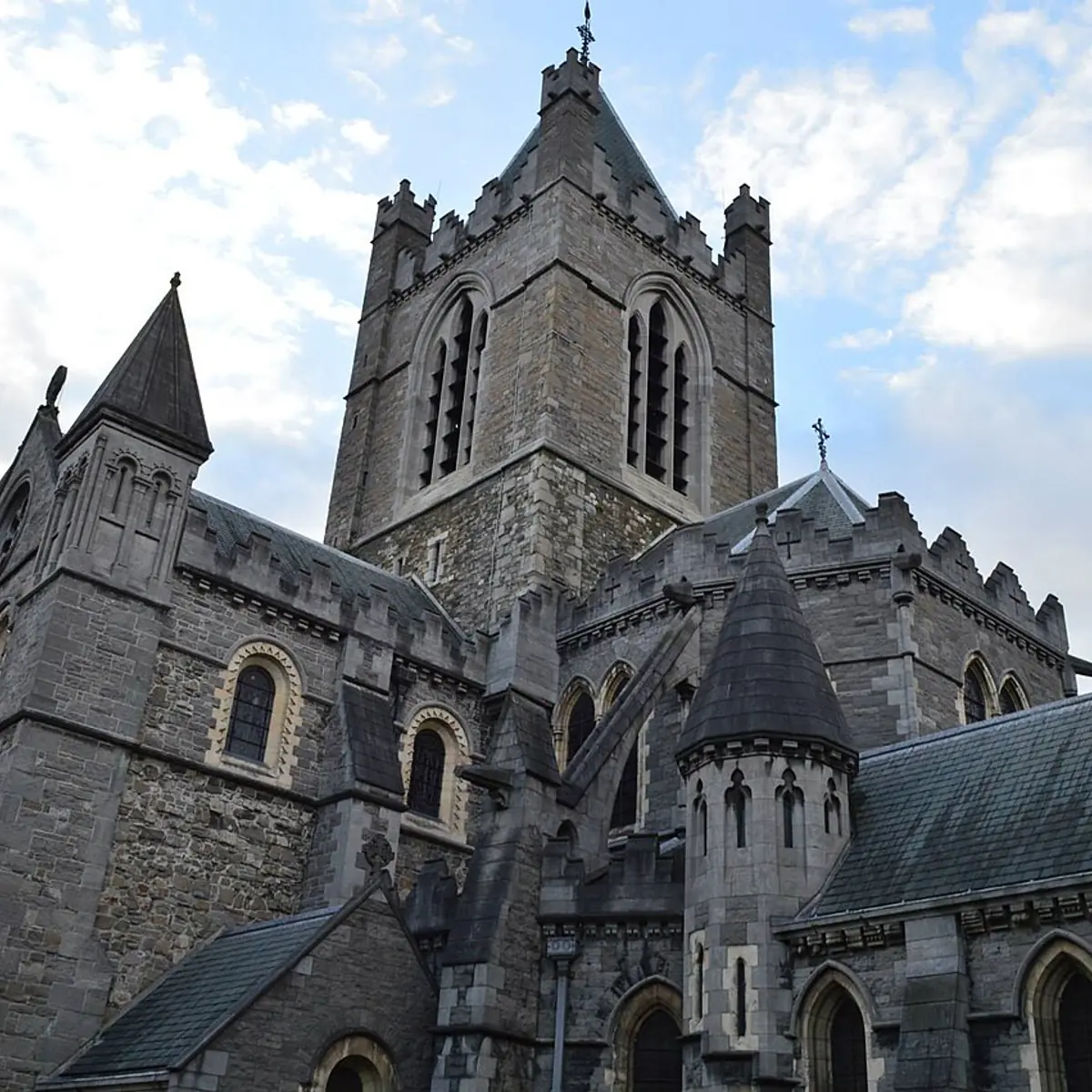 Dublinia