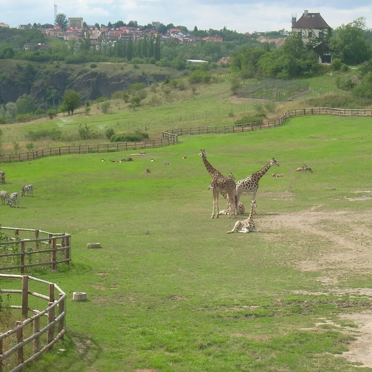 Prague Zoo