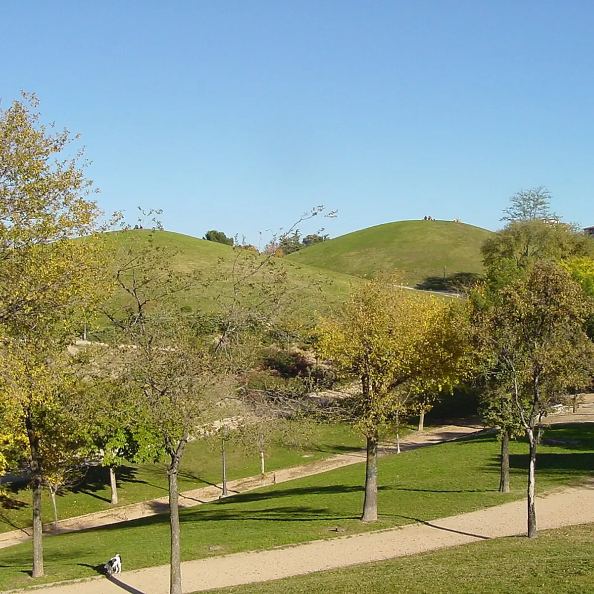 Parque del Cerro del Tío Pío