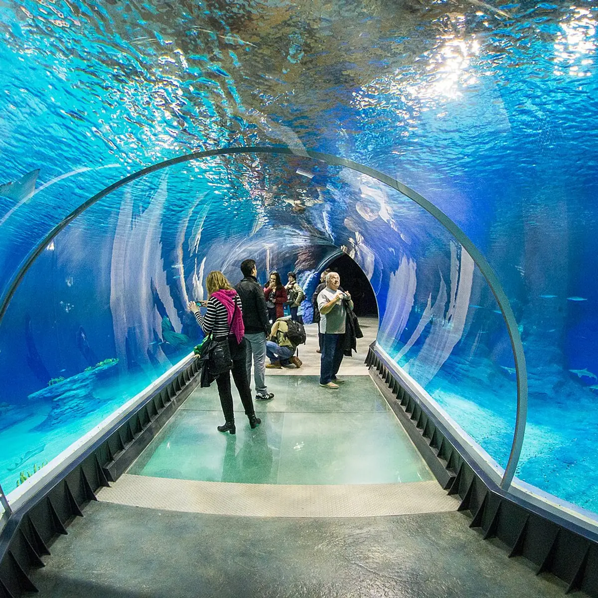 Afrykarium