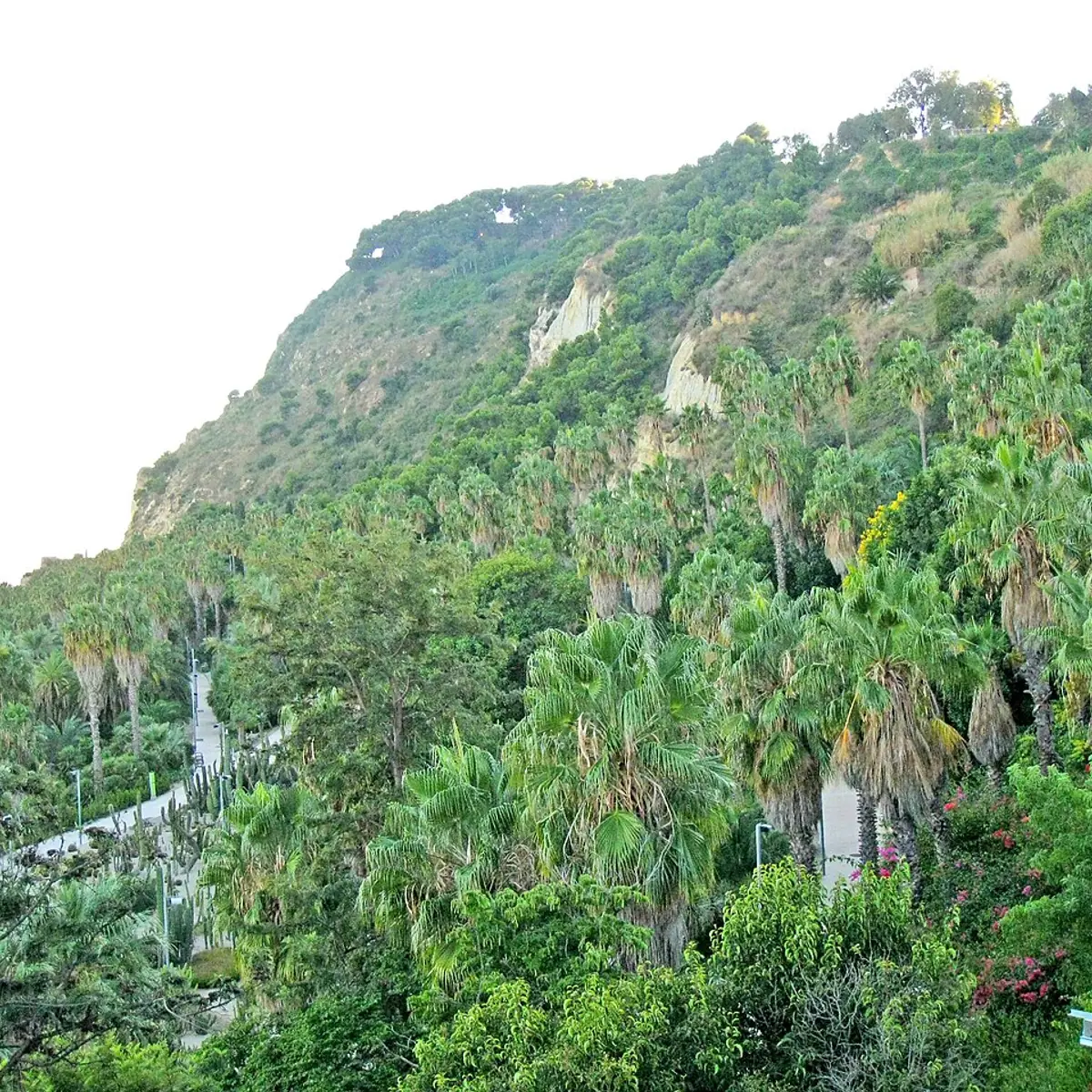 Jardins de Mossèn Costa i Llobera
