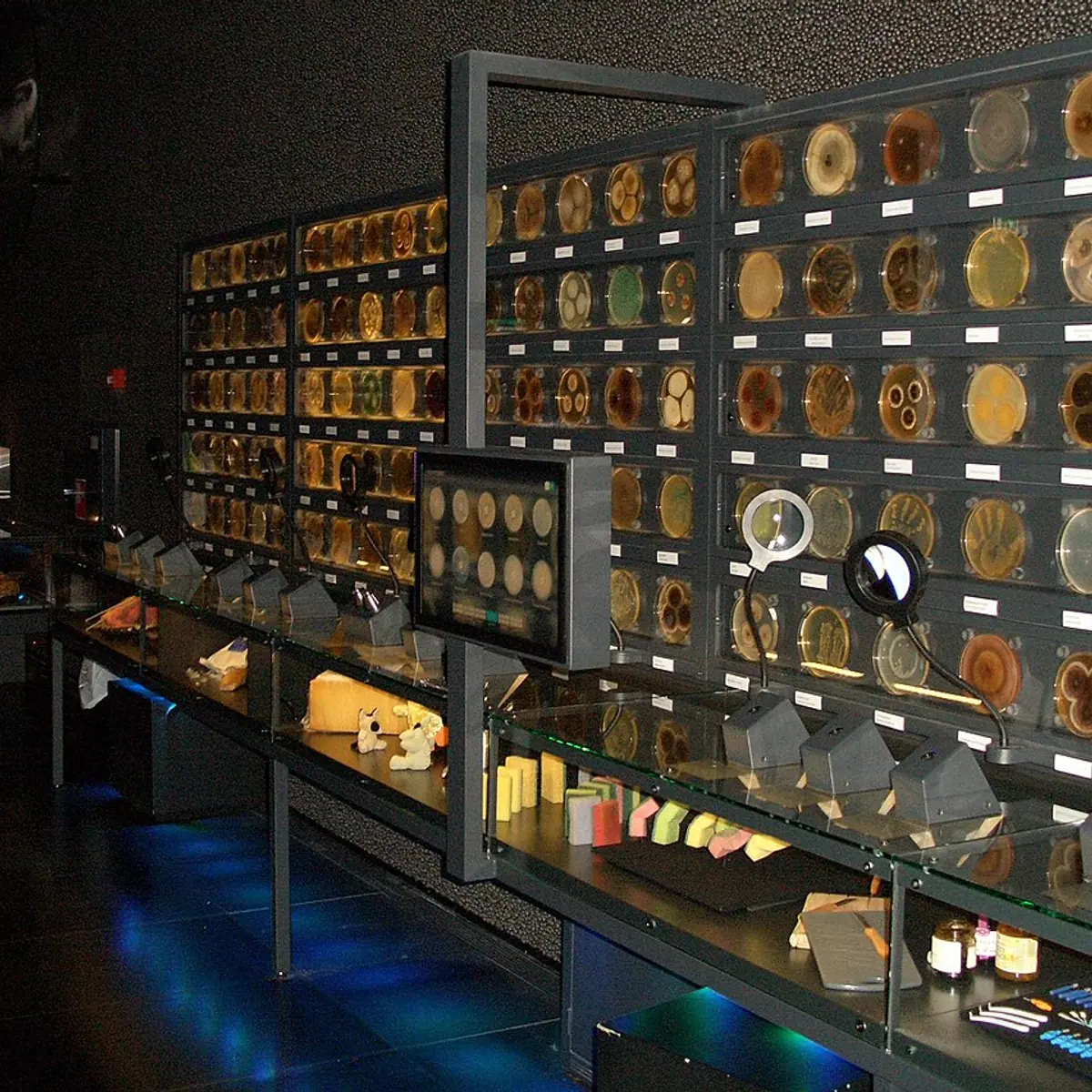 Micropia