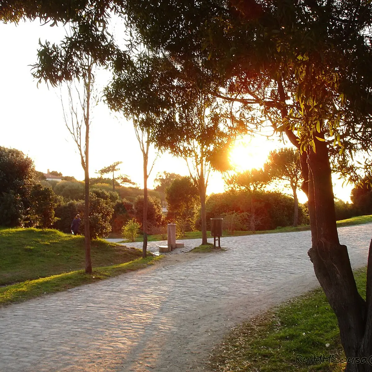 Parque da Cidade