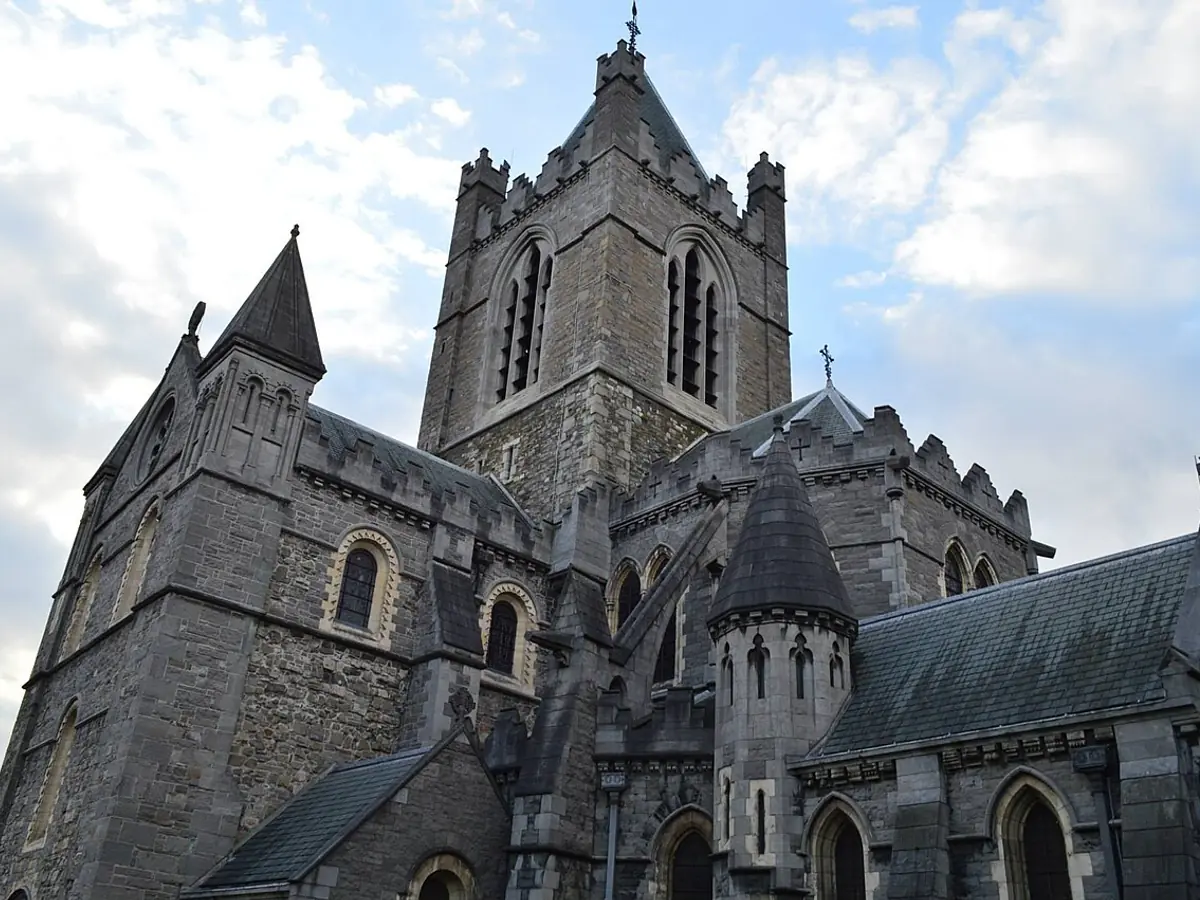 Dublinia